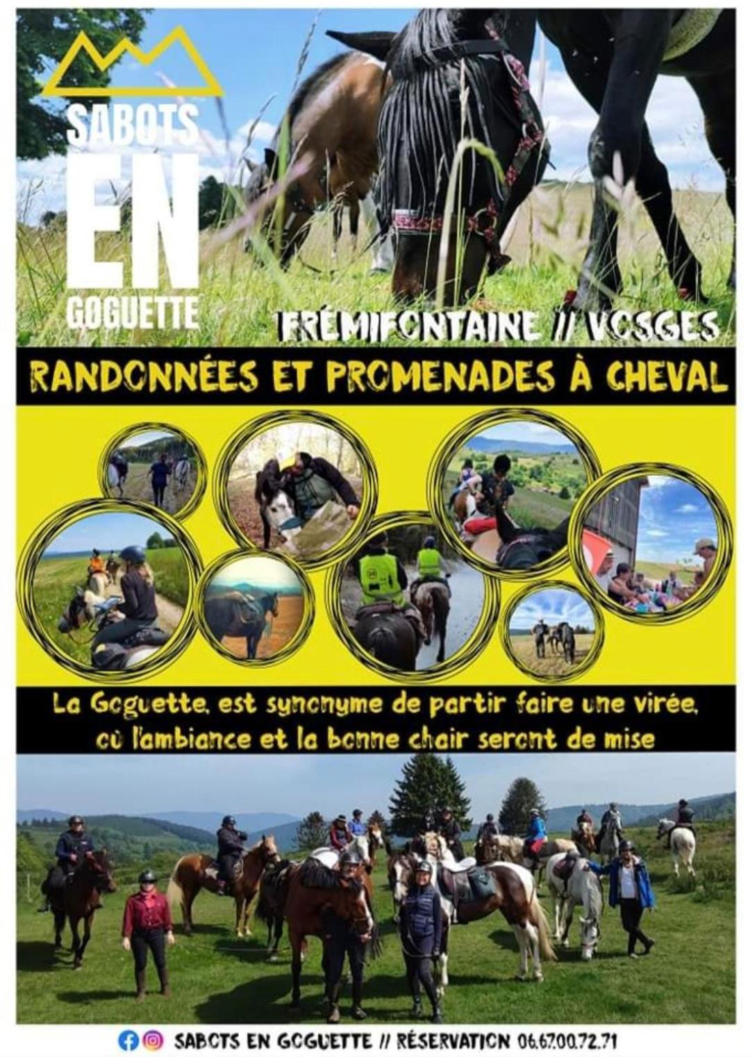 Les Vergers D'Epona "Fremifontaine Vosges" Buitenkant foto